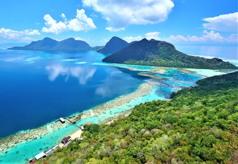 No vayas a Borneo...