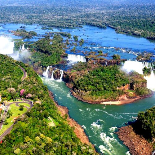 SELVA Y FIN DEL MUNDO